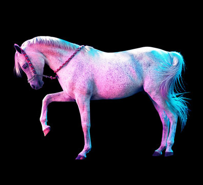 caballo