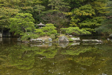 Fototapeta na wymiar Beautiful japanese garden (Kyoto)