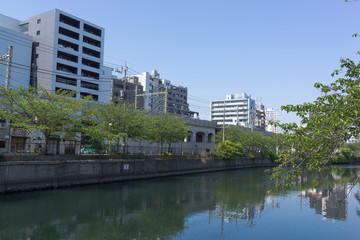 Fototapeta na wymiar 大岡川沿い風景