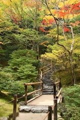 Stairway at a hill in a japanese garden (Kyoto)