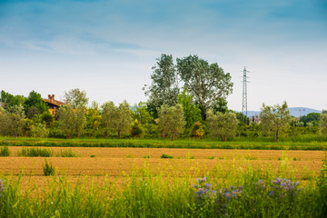 Fattoria, azienda agricola, Paesaggio di campagna Toscana