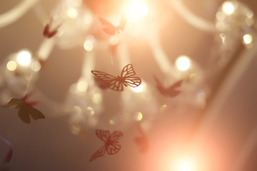 Beautiful shiny butterflies