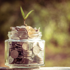 plant growing out of coins