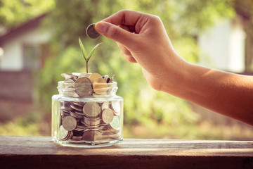 hand putting money coins  with filter effect retro vintage style