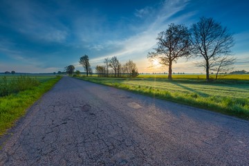 Fototapeta premium Rural destroyed asphalt road in calm countryside