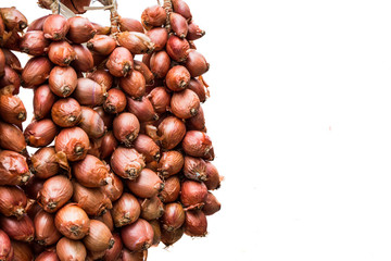 Shallot onions a group  isolated on white background