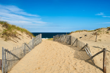 Path way to the beach at Cape Cod