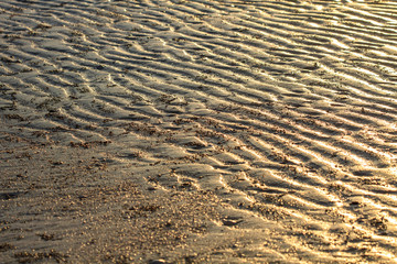 Beach sand waves