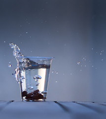 Splash