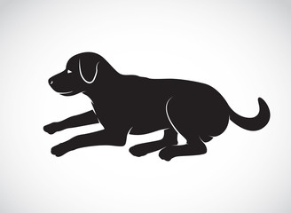 Vector image of an dog labrador on white background