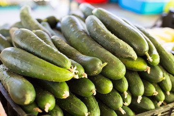 Fresh green cucumber collection on market