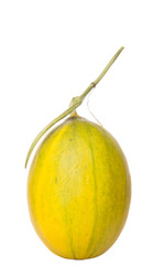 Heaven melon, Malaysian hybrid sweet melon fruit 