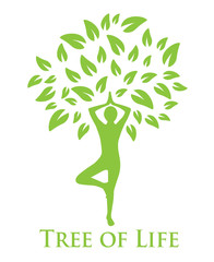 tree with green leaves and a silhouette of a man doing yoga