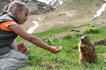 petite fille donnant à manger à une marmotte - 83372605