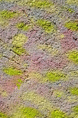 Colorful decorative relief plaster on wall