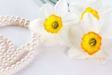 Obraz premium Three narcissus