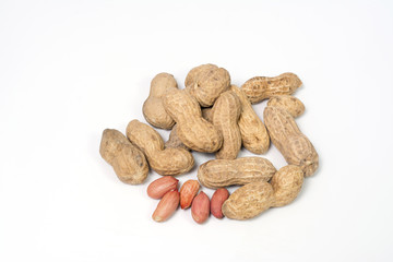 ground nut