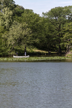 Fluss mit Pflanzen am Waldrand