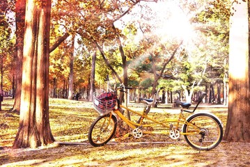 Fototapeta premium bicycle under sunlight. 