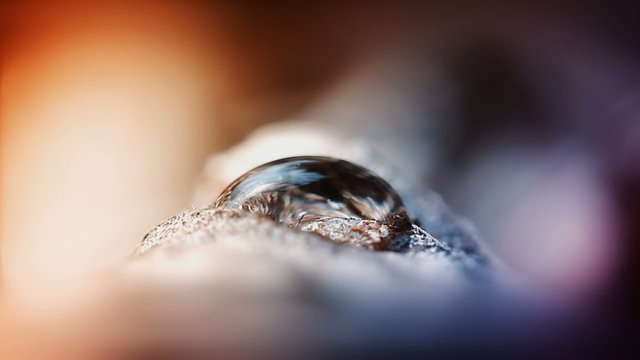 Капля воды на рассвете.