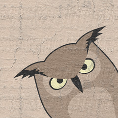 Fototapeta premium owl illustration