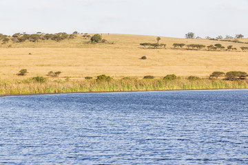 Wetland Lake Wilderness Nature