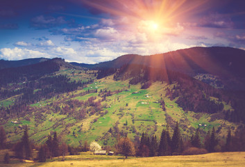 Mountain forest landscape under evening sky with clouds.