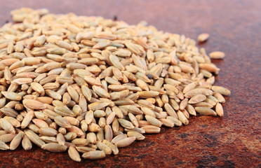 Heap of organic rye grain