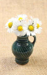 Composition of white daisies in glass vase