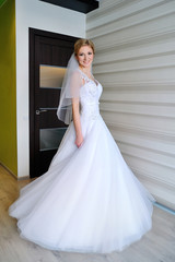 Fototapeta premium Bride in wedding dress