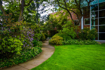 Gardens along a path at the Seattle Center, in Seattle, Washingt