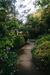 Gardens along a path at the Seattle Center, in Seattle, Washingt