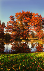 Stromovka park in Czech republic - 83378095