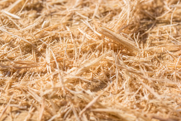 Holzspäne