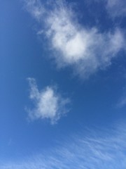 in the grass ln my back