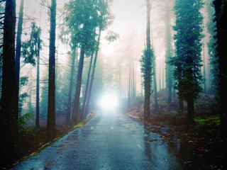 O anoitecer numa velha estrada rural - noite de nevoeiro e de chuva