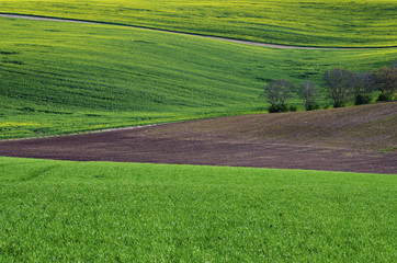 Obraz premium Rural landscape