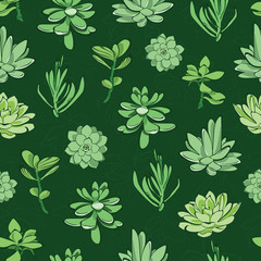 Vector fresh green succulents seamless pattern background