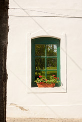 Fototapeta na wymiar Window and geranium