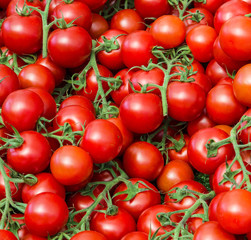 red fresh tomatoes