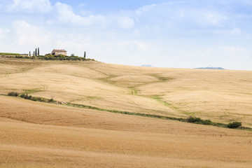 Fototapeta na wymiar Countryside in Tuscany