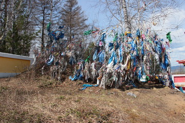 place of worship cult