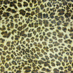 Leopard spots background