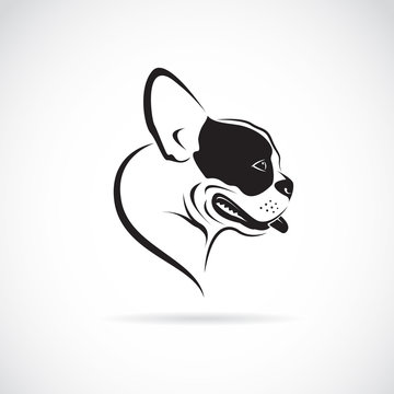 Vector of a dog (bulldog) on white background. Pets. Animals.
