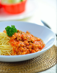 spaghetti  with tomato beef sauce