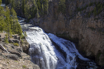 Obraz premium イエローストーン国立公園のギボン滝