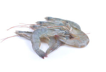 Fresh  shrimp on white background.