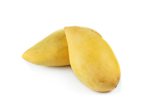Fresh ripe yellow  mango on white   background