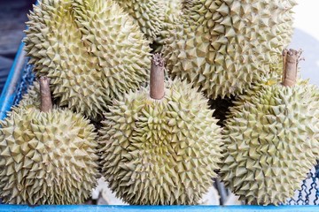 Closeup of durian on  a dish / Closeup of durian