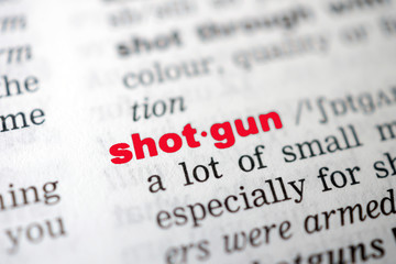 Closeup page with text SHOTGUN in colored highligh